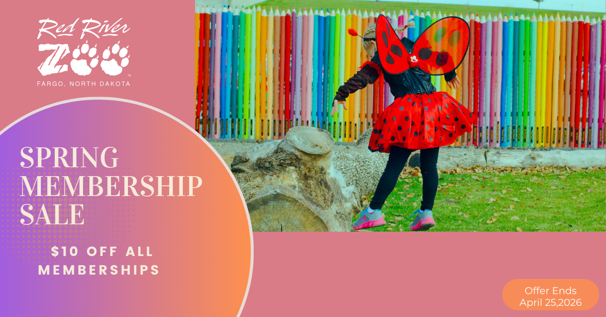 Spring Membership Promo (1240 x 650 px) website