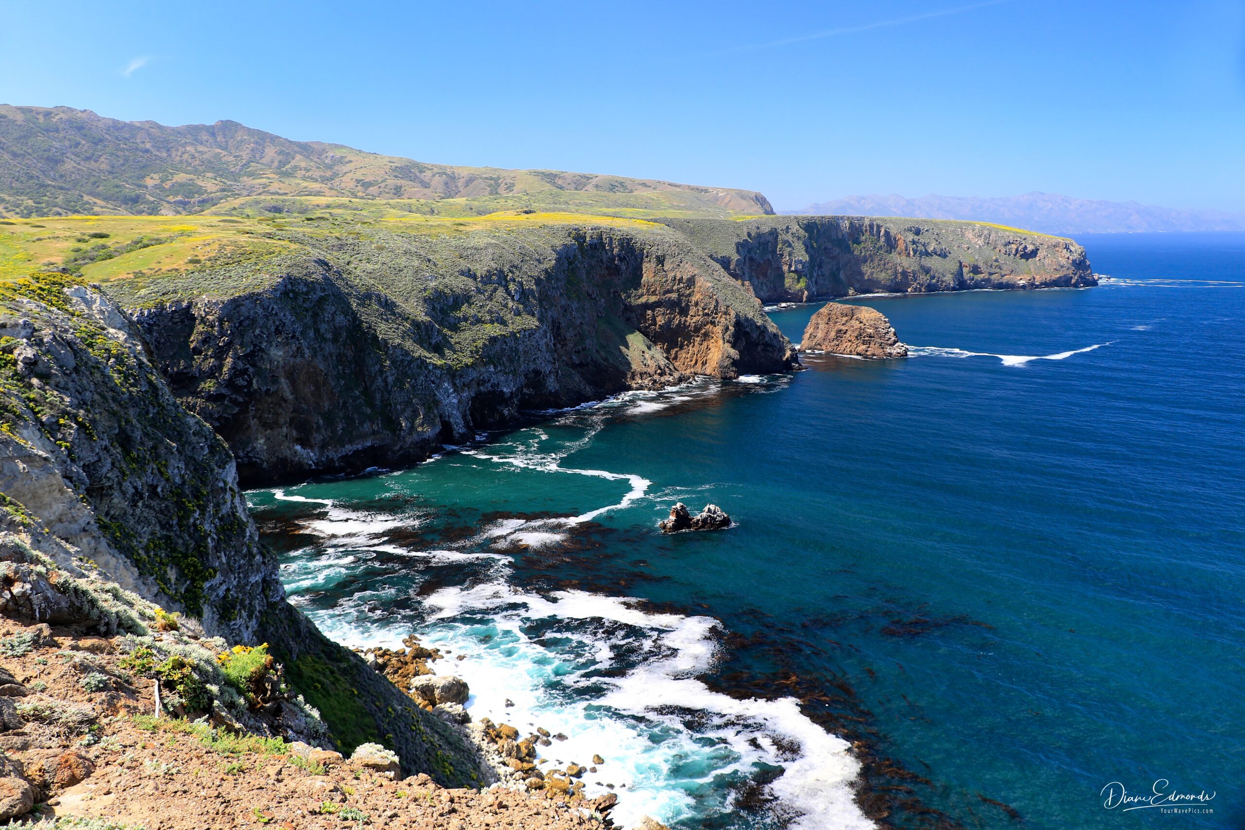 Santa Cruz Island | Island Packers