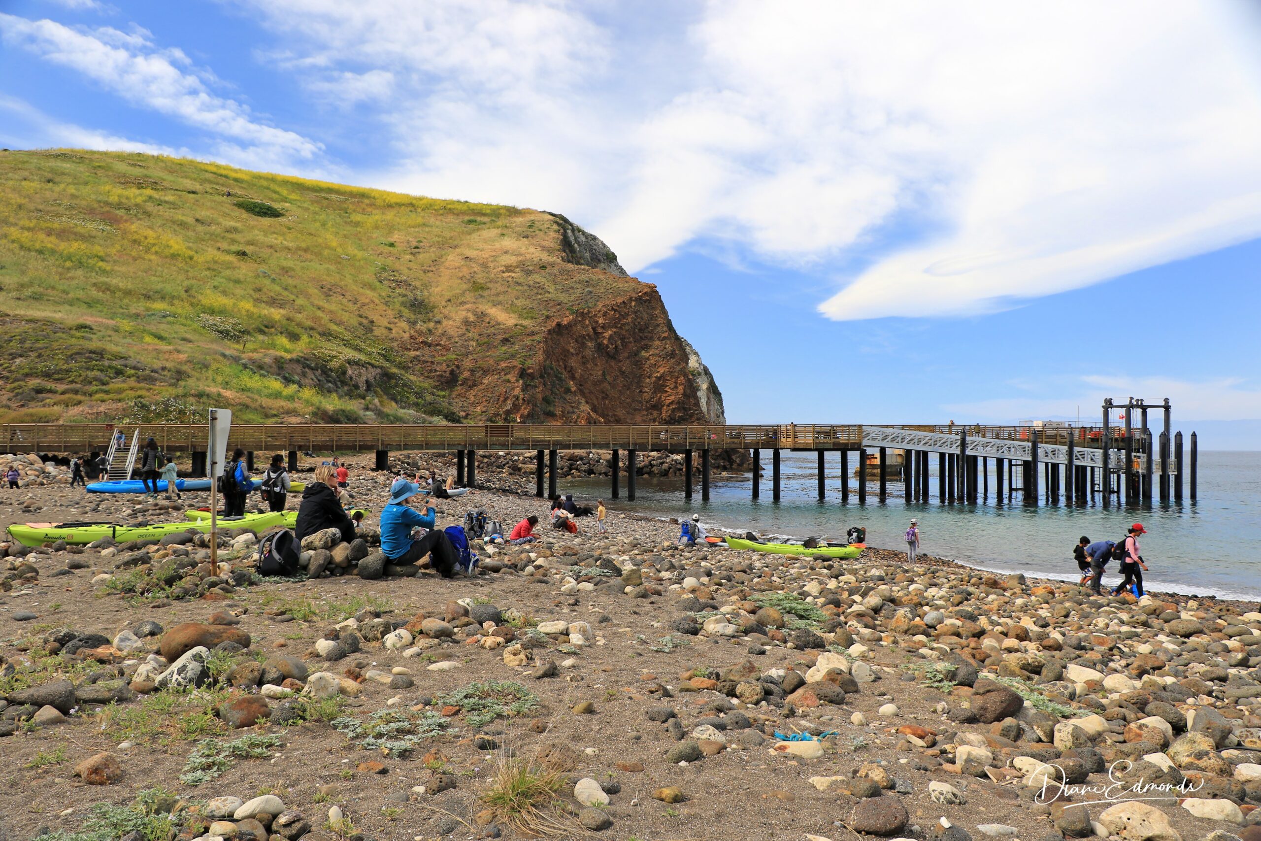Santa Cruz Island | Island Packers